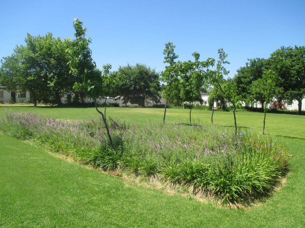 Muldersvlei Estate Hotel Stellenbosch Exterior photo